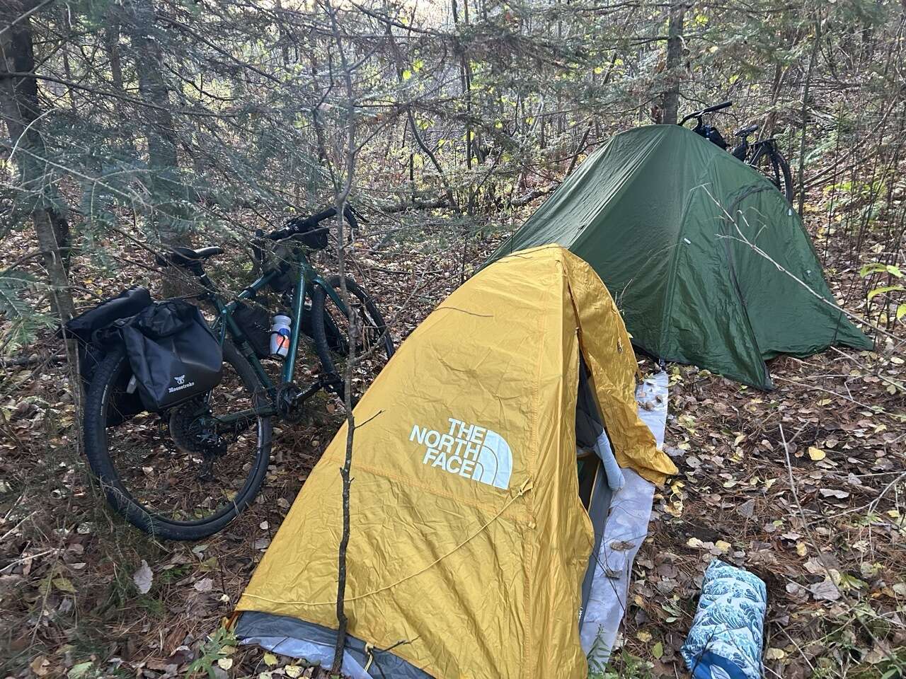 Tents set up in the brush
